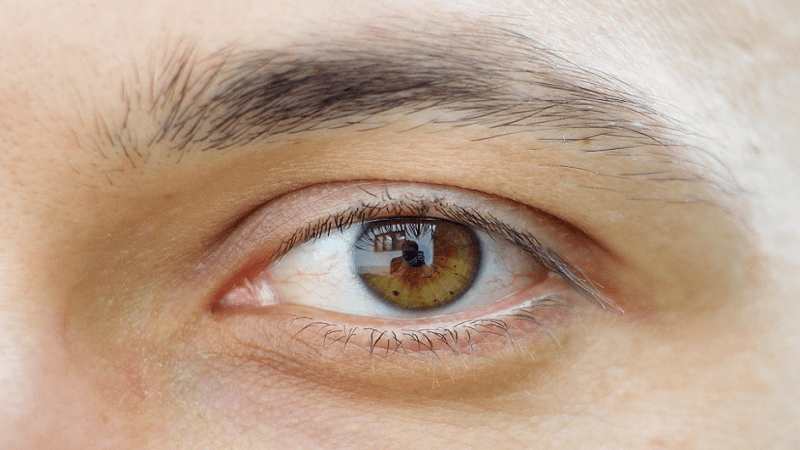 Healthy Spaces, Healthy Vision: How Your Environment Shapes Eye Care