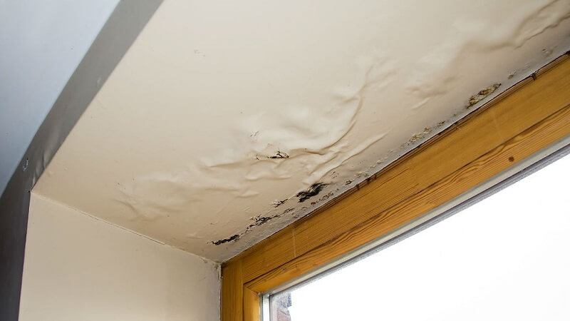 Roof Damage Can Allow Water to Enter the Attic