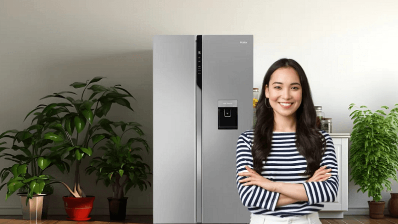 Reliable Appliance Care: Keeping Your Cooling Systems Running Efficiently