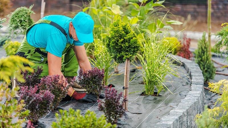 Why Professional Landscape and Hardscape Design Matter for Ottawa Homes