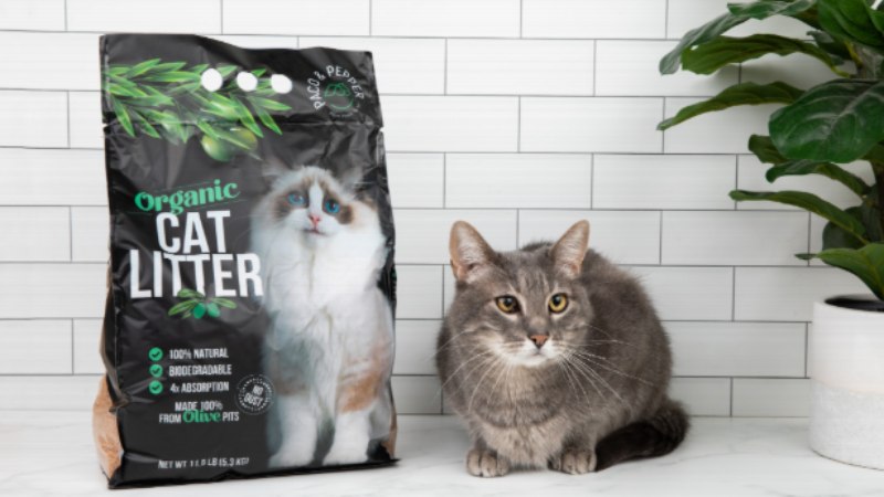 Cat Litter and Allergies